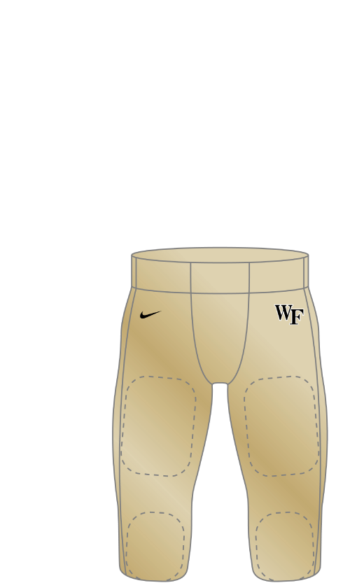 Wake Forest 2005 gold